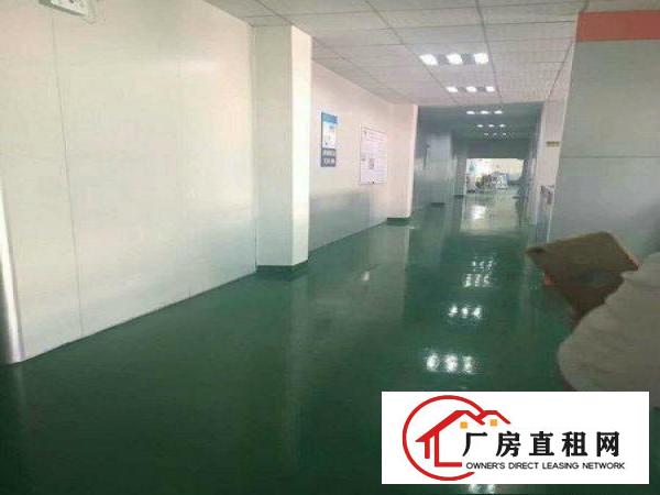 
塘厦临清溪,独院超靓1400,全新豪华装修,租17