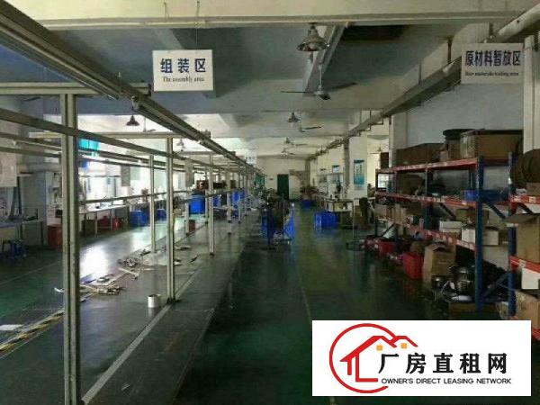 
塘厦临清溪,独院超靓1400,全新豪华装修,租17