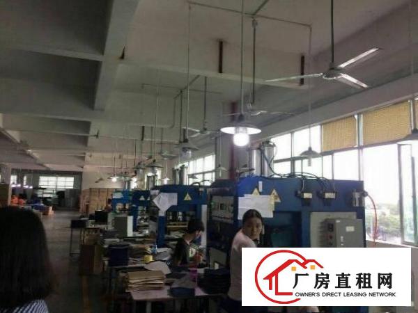 
林村,新出一楼标准厂房1600,带精装修,租17元