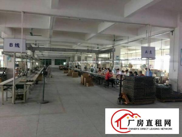 
林村,新出一楼标准厂房1600,带精装修,租17元