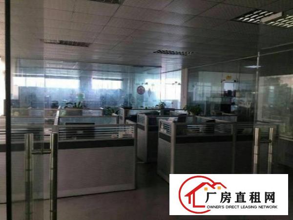 
林村,新出一楼标准厂房1600,带精装修,租17元