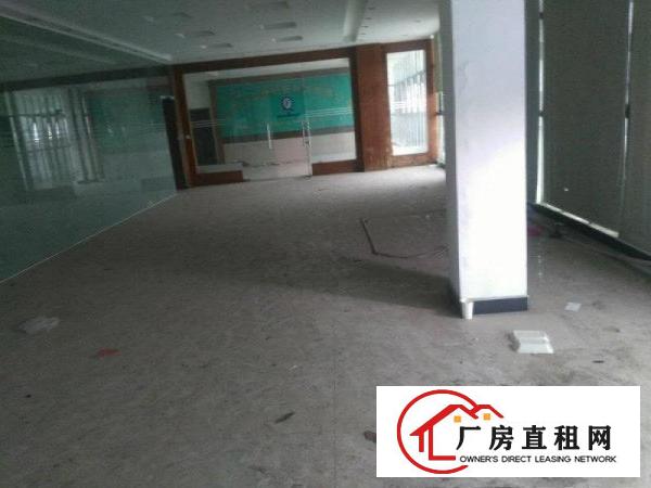 
龙背岭原房东,无摊标准1200,带装修,蛟乙塘六千
