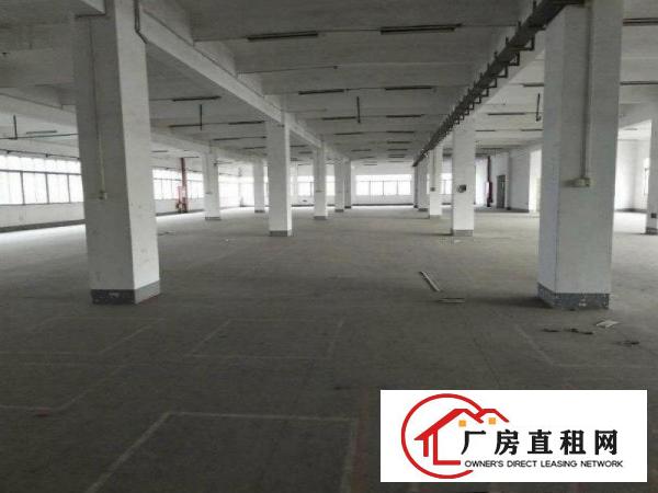 
龙背岭原房东,无摊标准1200,带装修,蛟乙塘六千