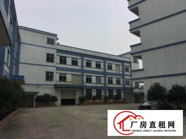 
龙背岭原房东,无摊标准1200,带装修,蛟乙塘六千