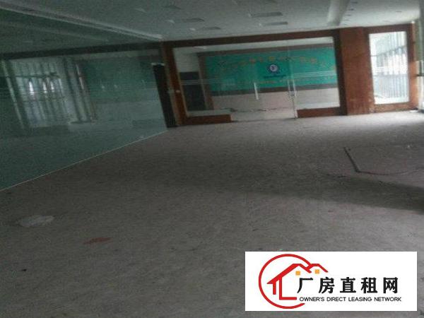
龙背岭原房东,无摊标准1200,带装修,蛟乙塘六千