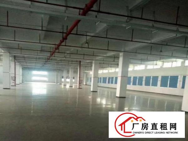 
塘厦龙背岭,标准4300可分租,带消防喷淋,租13