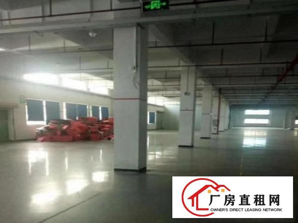 
塘厦龙背岭,标准4300可分租,带消防喷淋,租13
