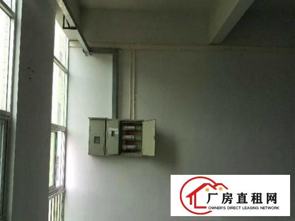 
塘厦龙背岭,标准4300可分租,带消防喷淋,租13
