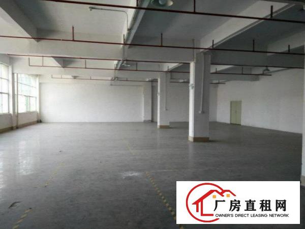 
塘厦,标准厂房3200平,带消防喷淋,精装修办公室