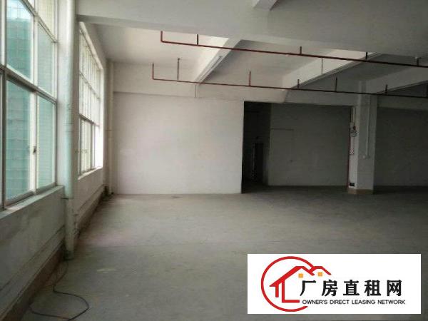 
塘厦,标准厂房3200平,带消防喷淋,精装修办公室