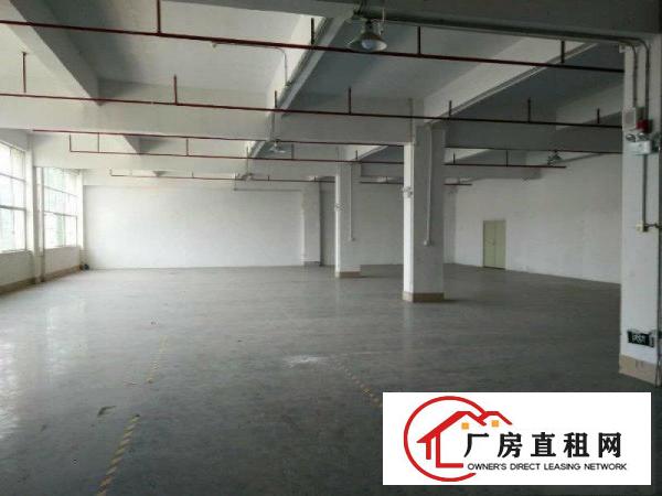 
塘厦,标准厂房3200平,带消防喷淋,精装修办公室