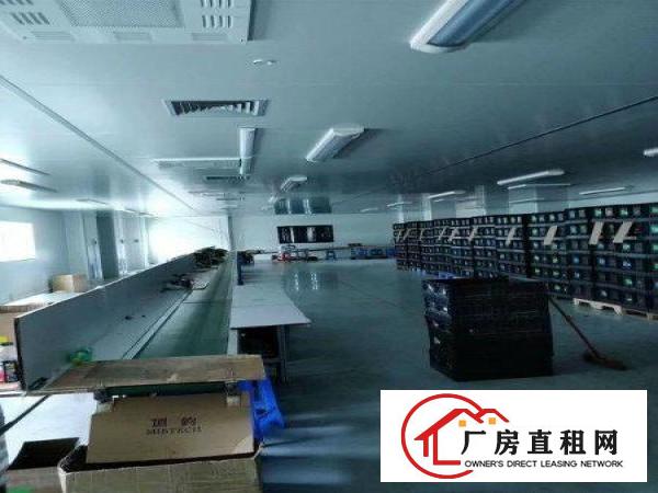 
石鼓繁华地段,花园式标准1600,豪华装修,租16