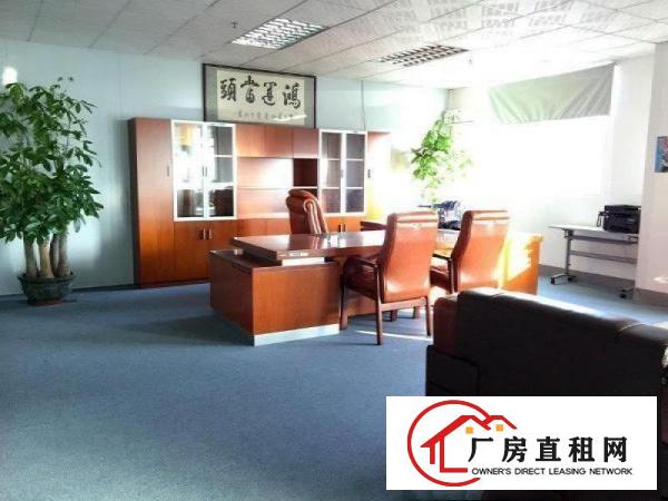 
石鼓繁华地段,花园式标准1600,豪华装修,租16