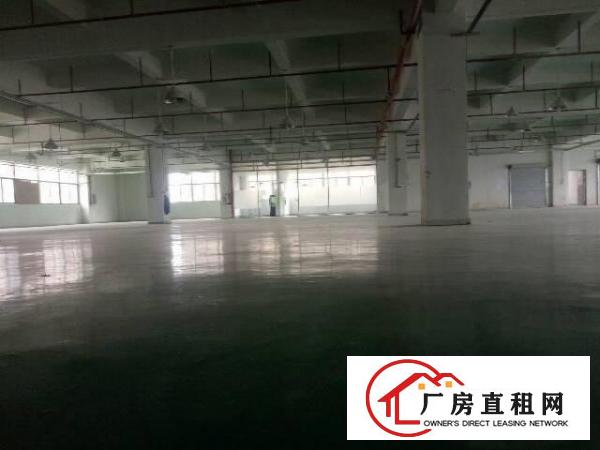 
塘厦,独院3500,楼层朝向,带消防喷淋精装修
