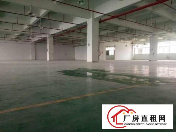 
塘厦,独院3500,楼层朝向,带消防喷淋精装修