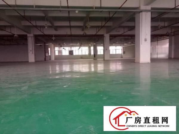 
塘厦,独院3500,楼层朝向,带消防喷淋精装修