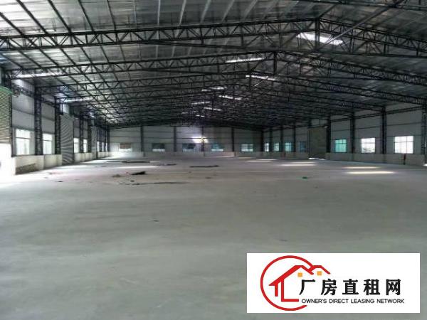 
塘厦原房东,独院钢构两千平,高9米,院子大,无柱子