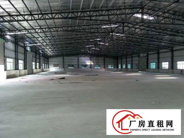 
塘厦原房东,独院钢构两千平,高9米,院子大,无柱子