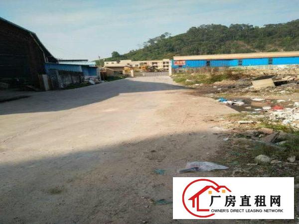 
塘厦原房东,独院钢构两千平,高9米,院子大,无柱子