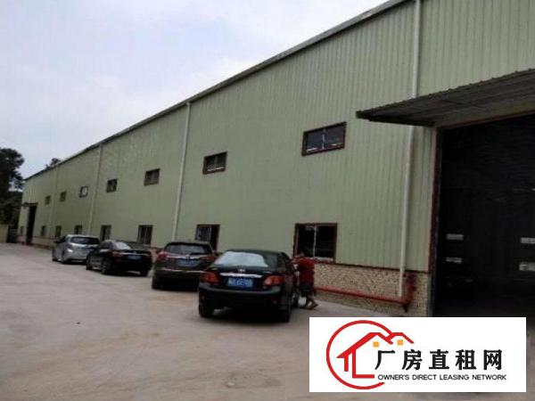 
塘厦原房东,独院钢构两千平,高9米,院子大,无柱子