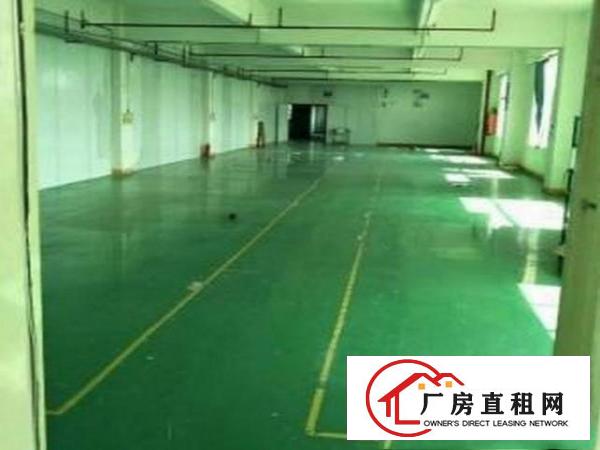
蛟乙塘近国道,标准厂房860,带豪华装修,无转让费