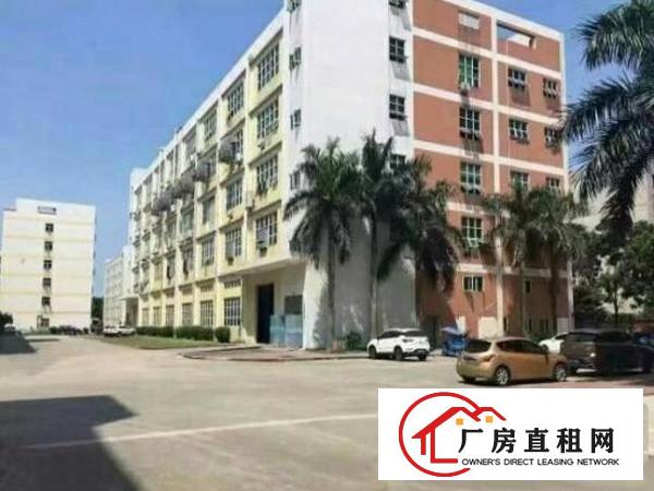 
蛟乙塘近国道,标准厂房860,带豪华装修,无转让费
