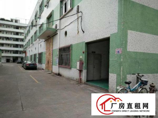 
塘厦振兴围,1楼500,高6.5,带简装修,租16