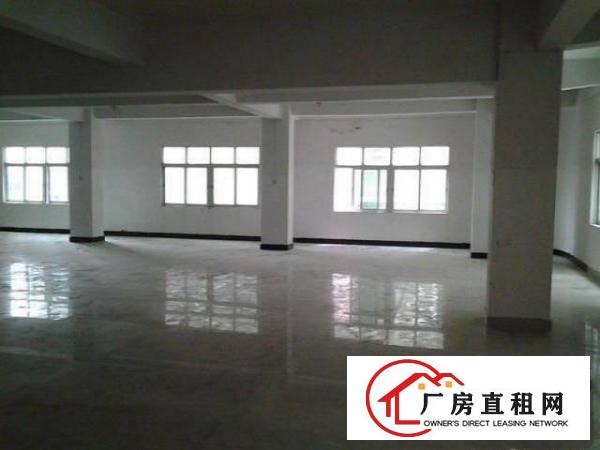 
塘厦全新漂亮小独院750,带简装修,适多种行业入驻