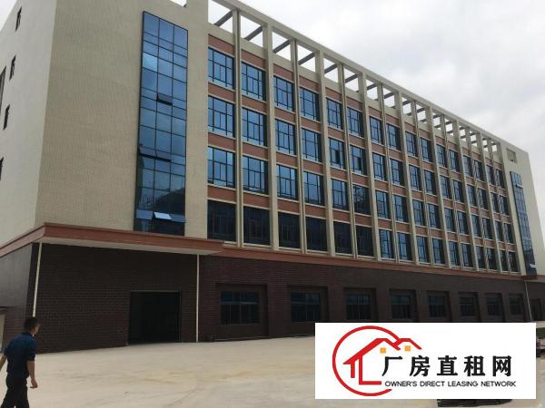 
塘厦近深圳，原房东全新厂房，2280平一层，无公摊