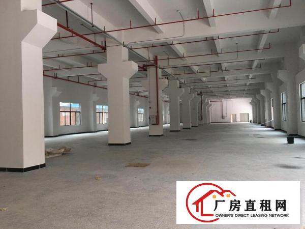 
塘厦近深圳，原房东全新厂房，2280平一层，无公摊