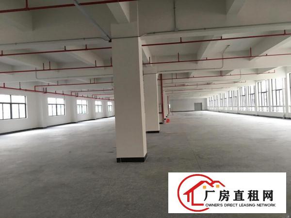 
塘厦近深圳，原房东全新厂房，2280平一层，无公摊