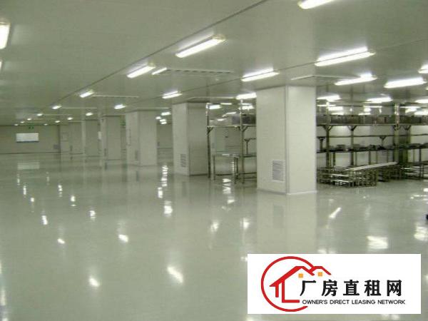 
科苑城工业区标准千级无尘车间可分开出租