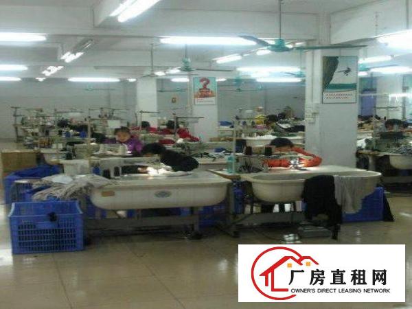
田心派出所旁边，独院厂房3300平方米带装修出租