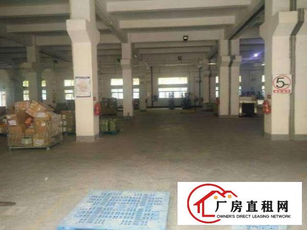 
花园式二层厂房，月底清空带精装修2500平方