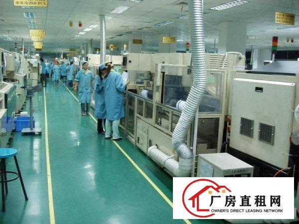 
花园式二层厂房，月底清空带精装修2500平方
