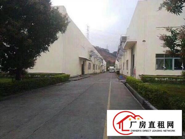 
凤岗7米高全新独院钢构厂房6800平方出租
