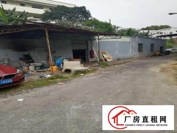 
雁田布心铁皮房450平米独院出租