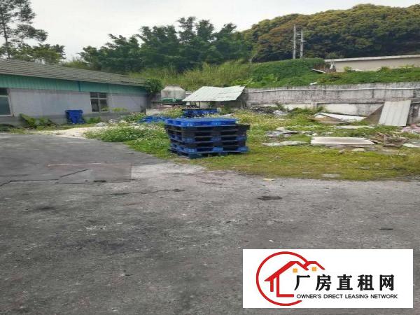 
雁田布心铁皮房450平米独院出租
