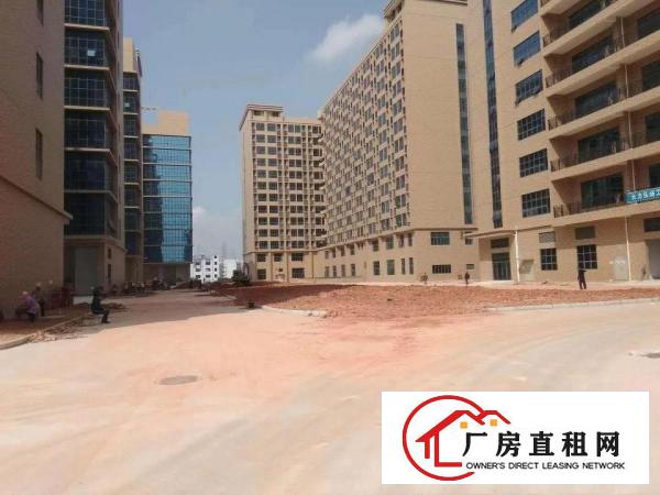 
凤岗原房东13万平米产业园对外招租