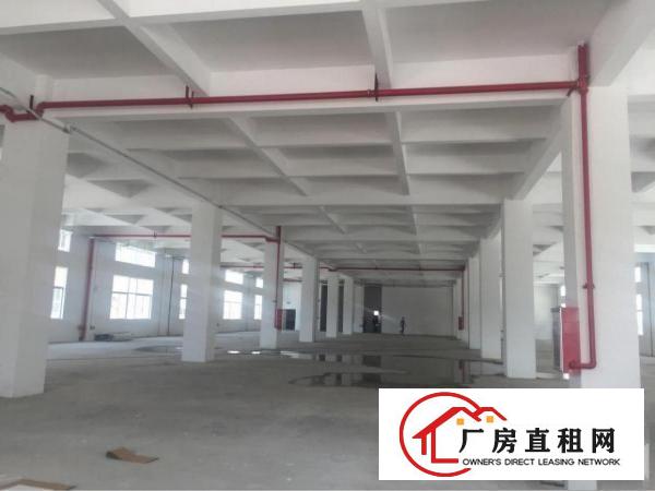 
能办环评、LED灯饰广州市南沙区7500方厂房出租