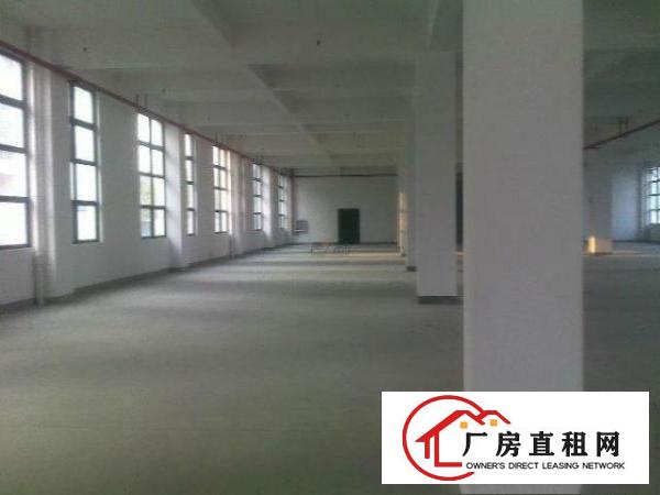 
凤岗新出独院4800平方厂房出租(可分租）