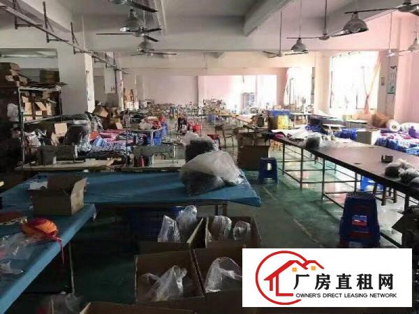 
凤岗新出独院三层厂房3600平方出租