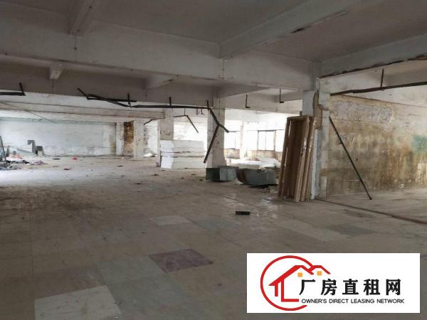 
凤岗3楼厂房800平方13元
