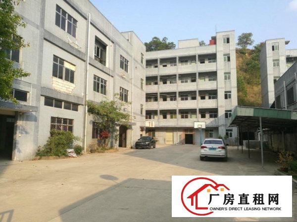 
凤岗靠山边带装修独院厂房6200平方火爆招租