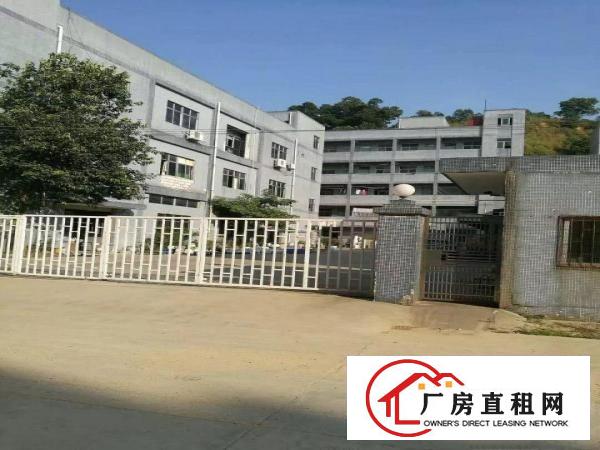
凤岗靠山边带装修独院厂房6200平方火爆招租