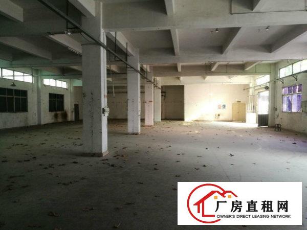 
凤岗靠山边带装修独院厂房6200平方火爆招租