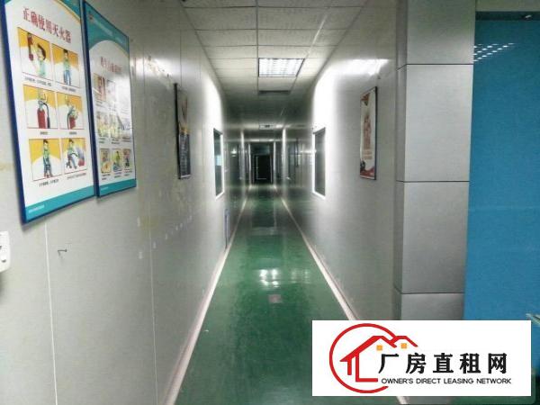
黄洞独门独院厂房，现成环保批文，无尘车间，可分租