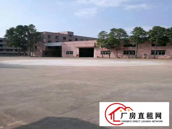 
凤岗镇金凤凰新出8米高单一层钢结构厂房出租！！！