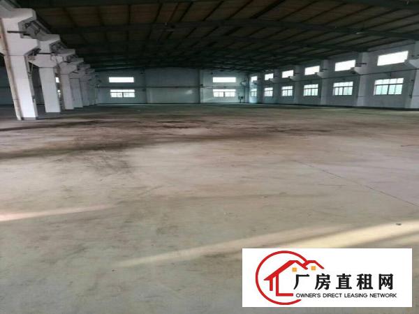 
凤岗镇金凤凰新出8米高单一层钢结构厂房出租！！！