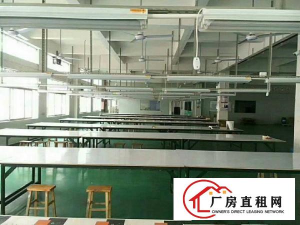 
凤岗镇雁田新出原房东独院独栋标准厂房4500平方！